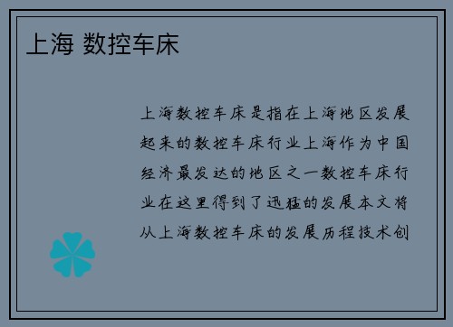 上海 数控车床